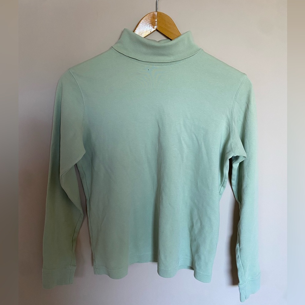 Sage Green Vintage Turtle Neck